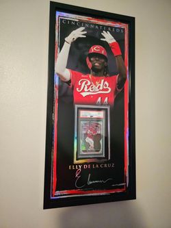 Reds