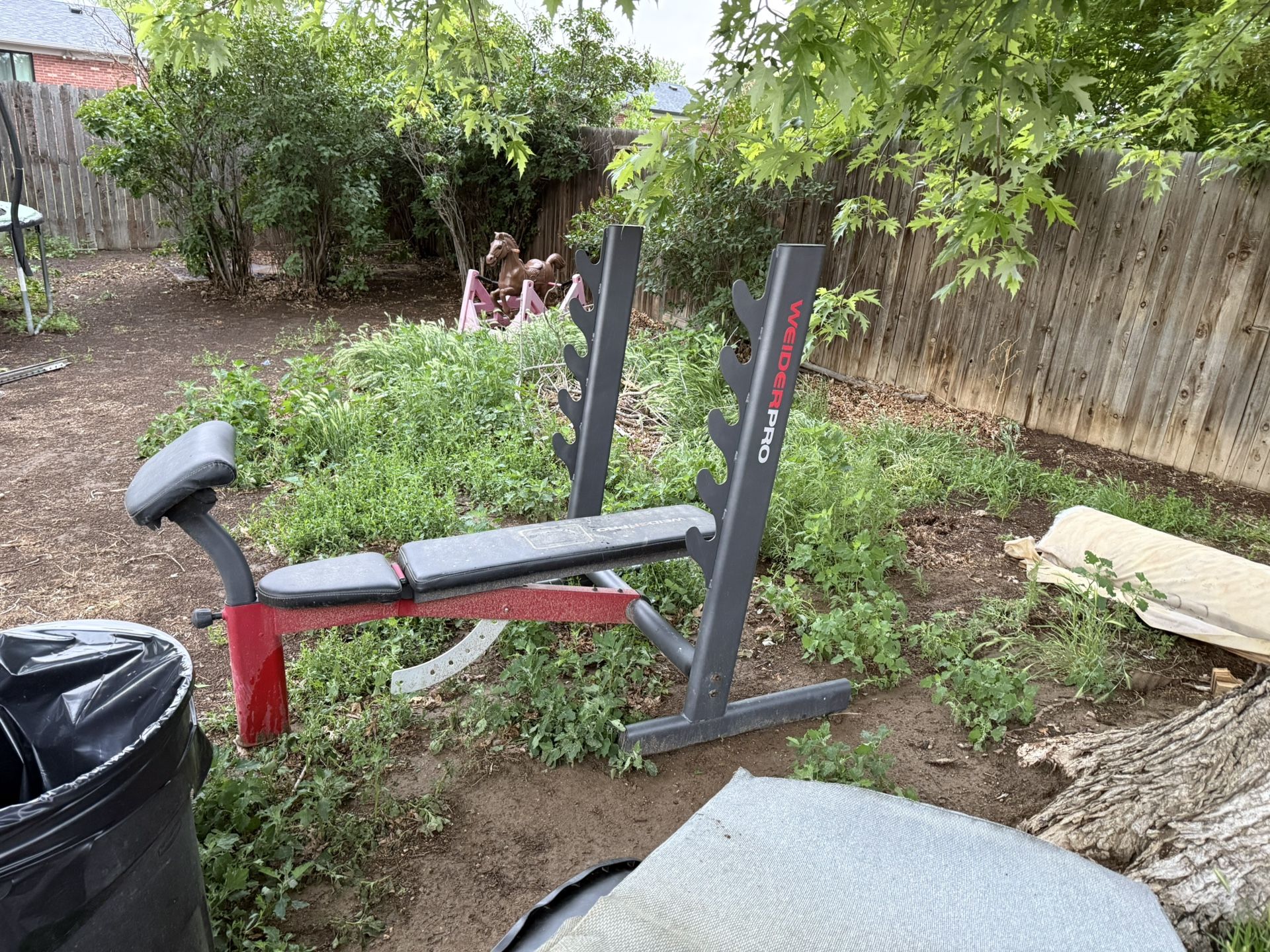 Weight Bench