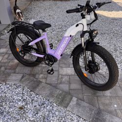 Electric Bike $800 FIRM