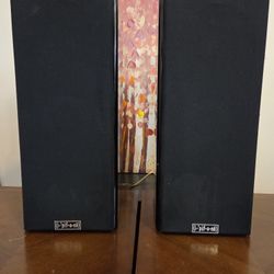 Infinity Cabnet speakers.