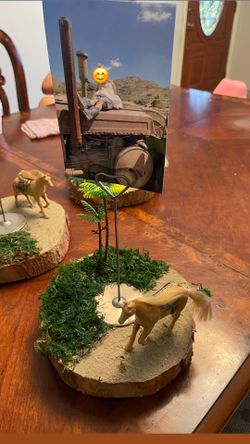Cowgirl/boy Centerpieces