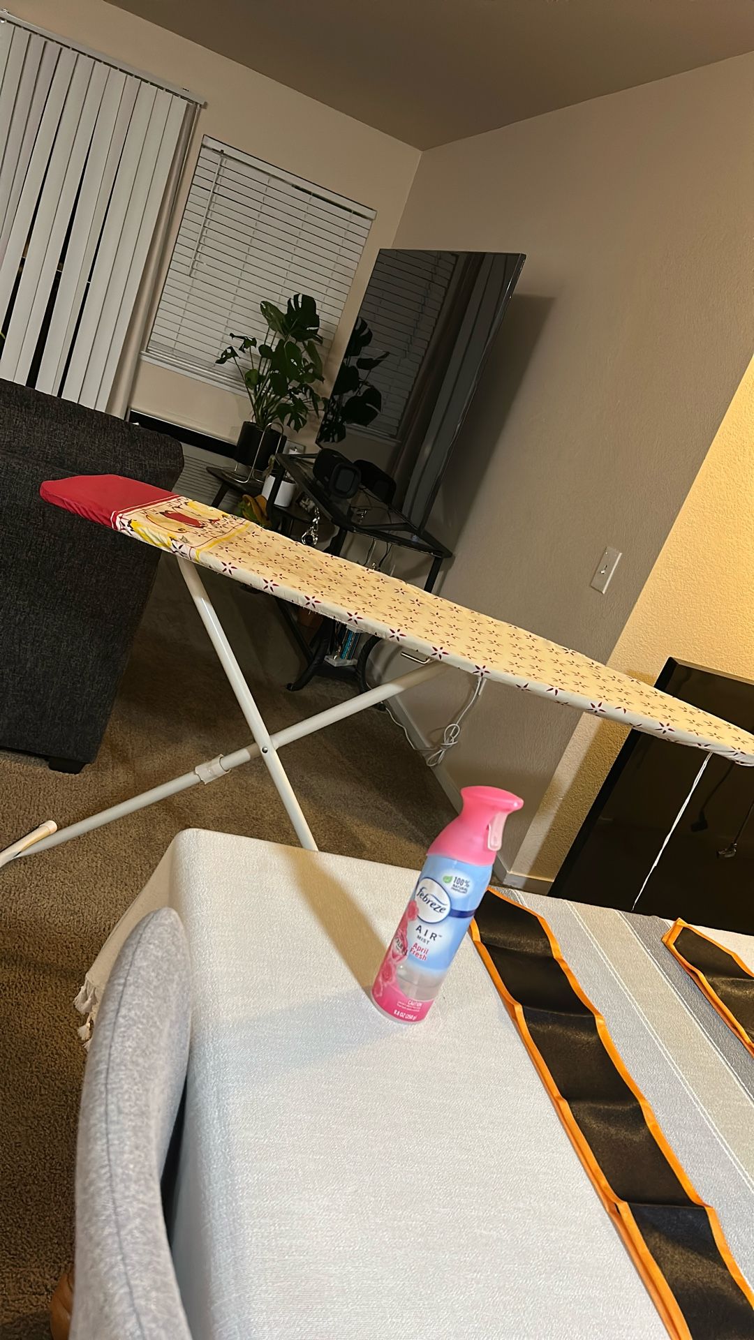 Ironing board