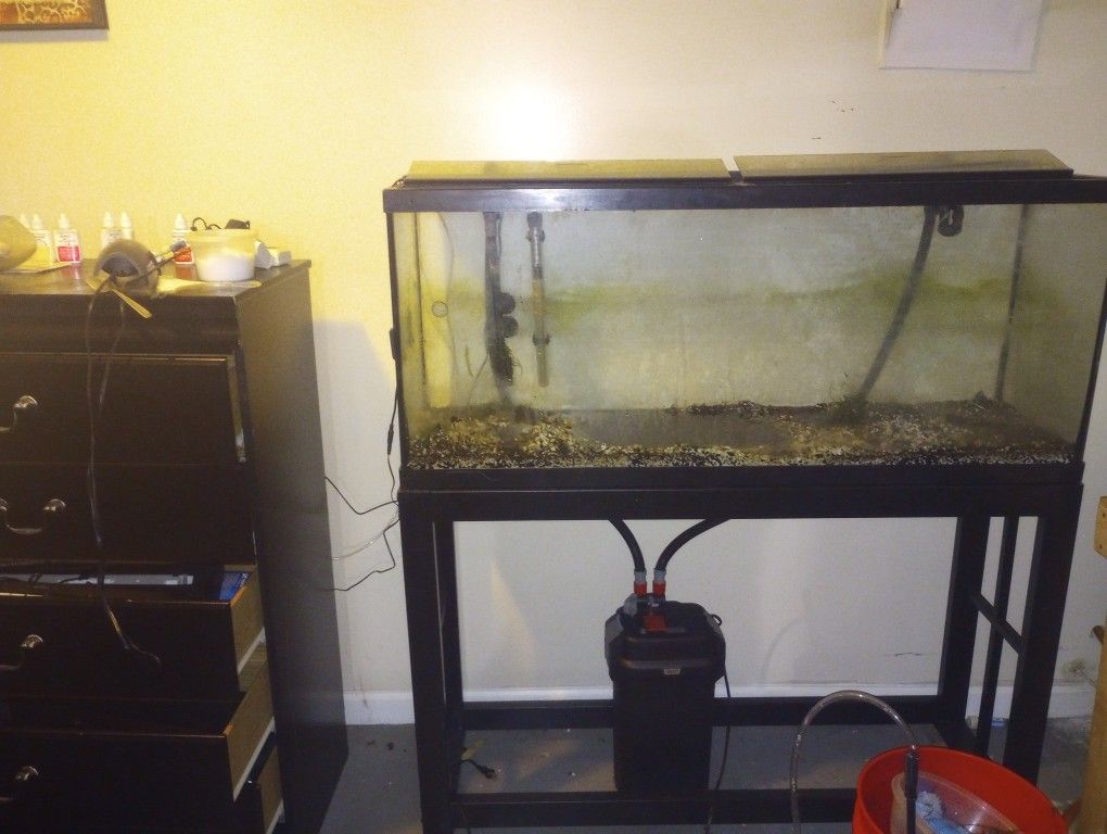 Fish tanks and accessories