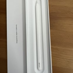 iPad Pen