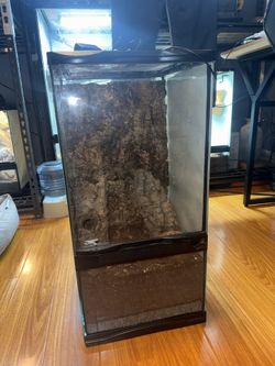 Zoomed Terrarium 12x12x24