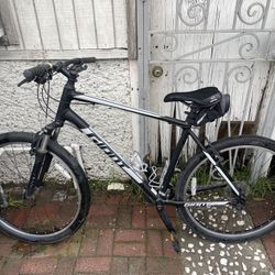 Giant Bike XL