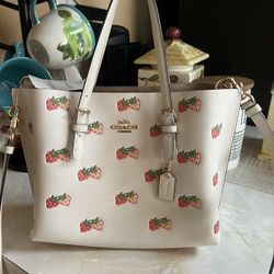 Coach Handbag 
