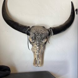 Badass Carved Buffalo Skull 
