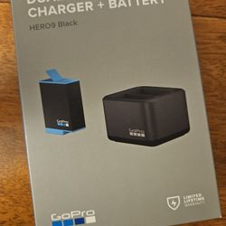 Dual Battery Charger And Battery
