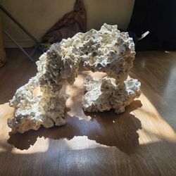 Reef Rock Habitat (Custom)