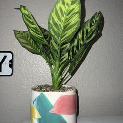 Fake Plants Decor