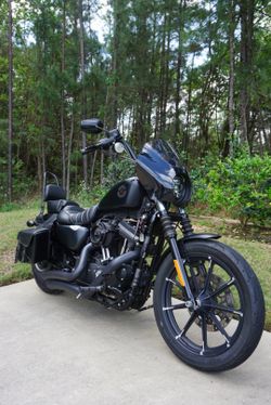 2019 Harley Davidson Sportster Iron 883