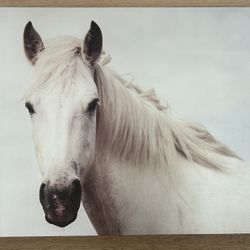 Horse Wall Art