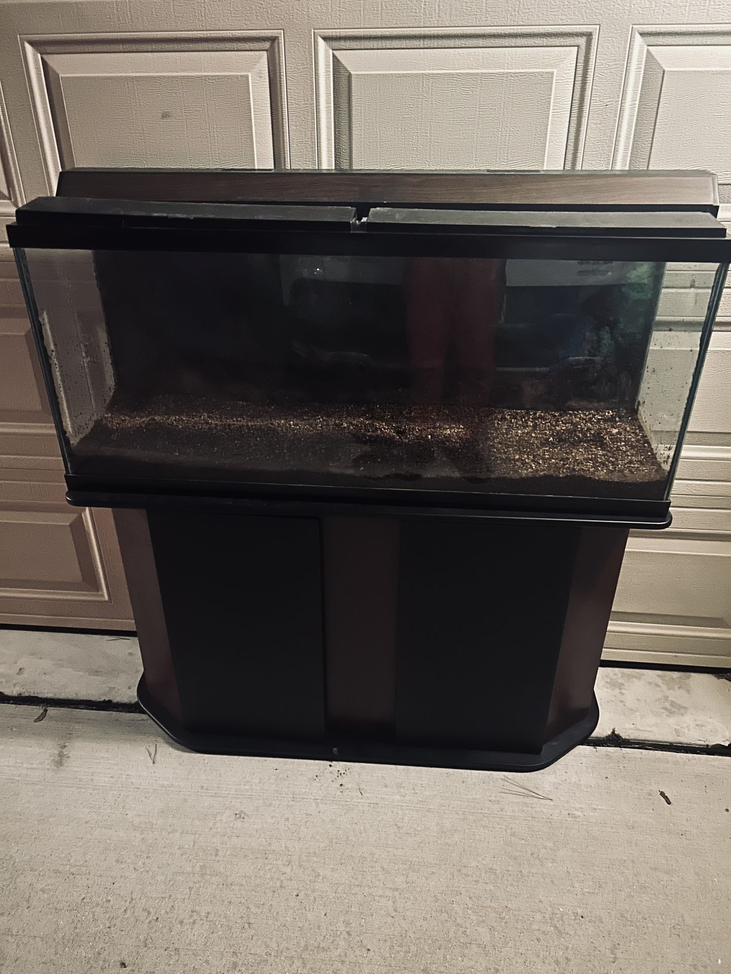 55 Gallon Fish Tank Setup 
