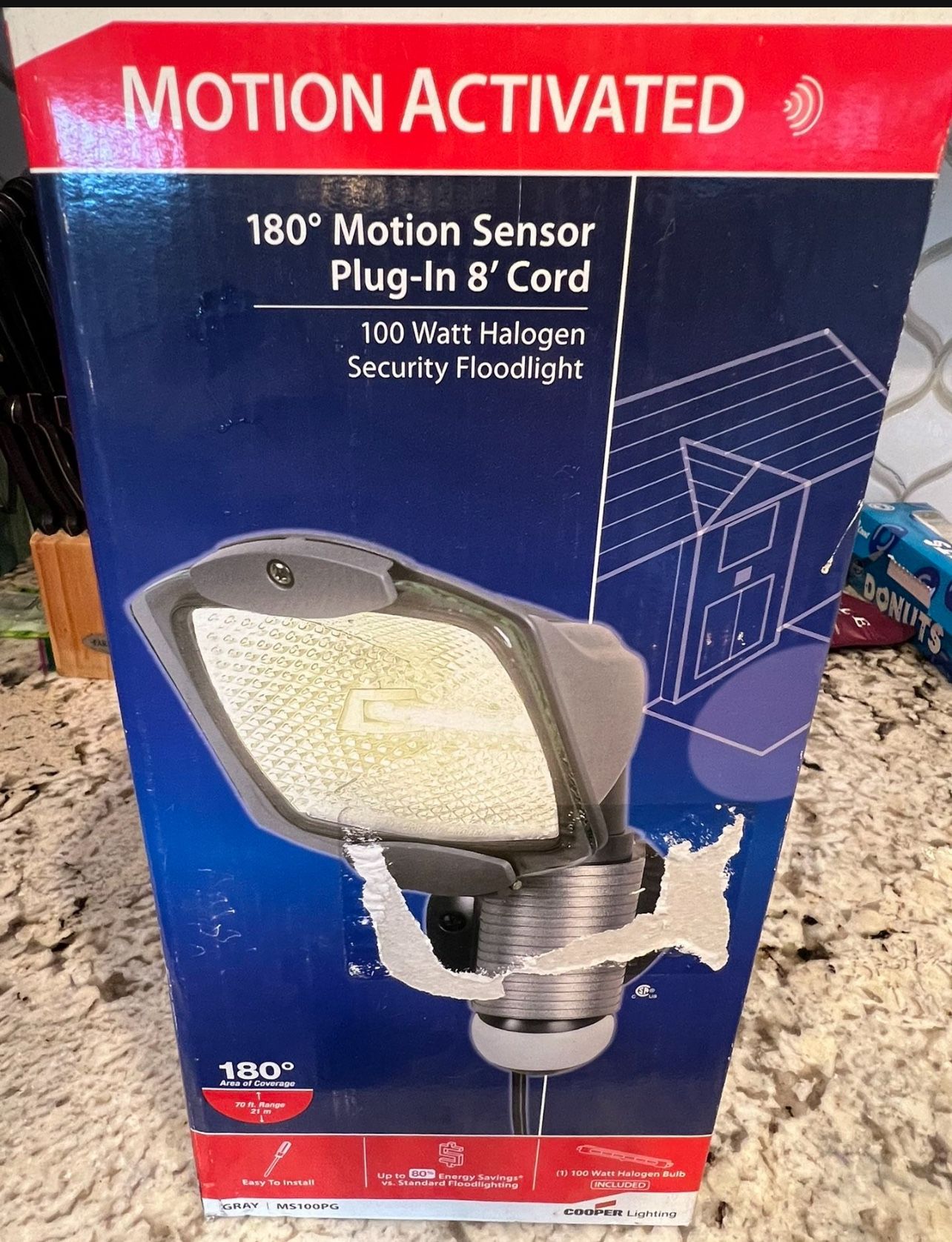 NEW Security Flood Light — Motion Detection