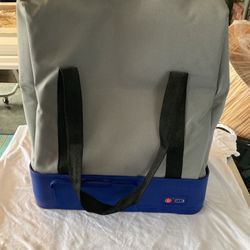 Portable cooler