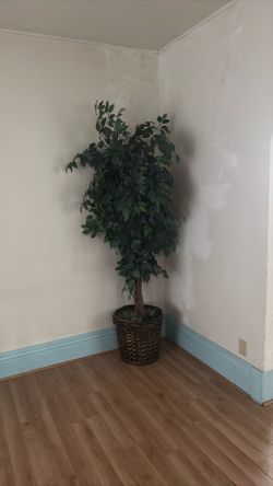 Artificial Plant in Basket