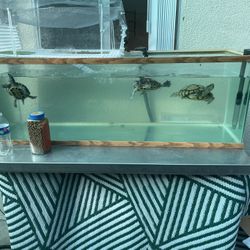 75 gallon turtle tank 