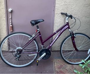 Schwinn Bicycle