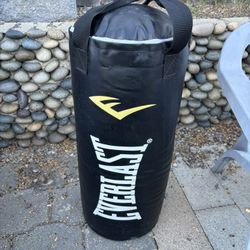 Everlast Punching Bag