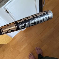 Easton BX1 Baseball Bat 33.5” 28.5oz