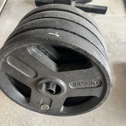 x4(25)lb Plate