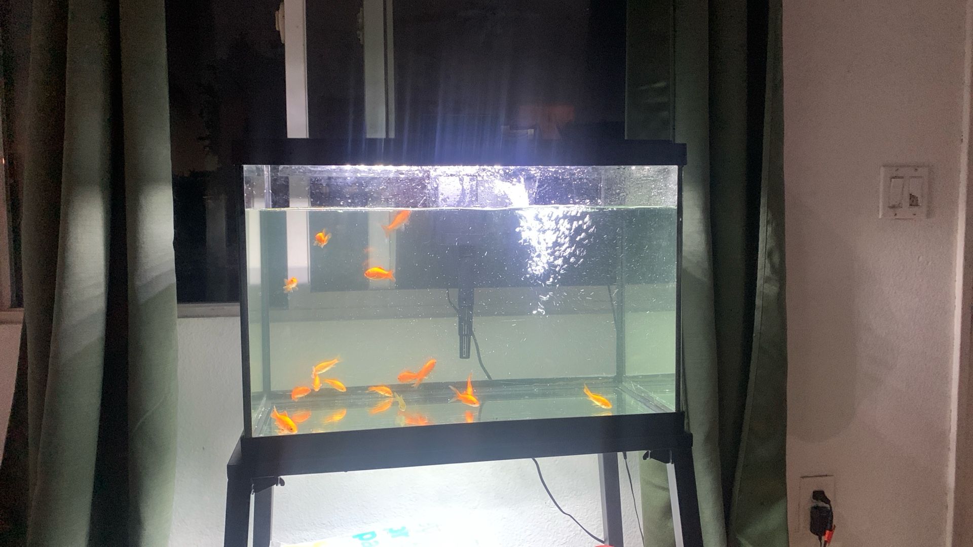 Fish Tank And Fish Stand
