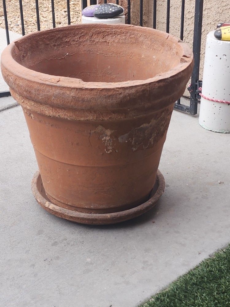 Terracotta Plant Pot With Saucer