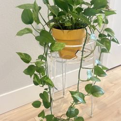  Vintage Plant Stand 