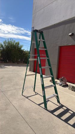 Davidson 8 foot ladder 225 labs