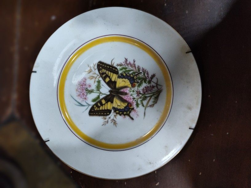Set of Royal Bayreuth Germany 7.75" Salad Plates