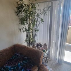 Fake Plants