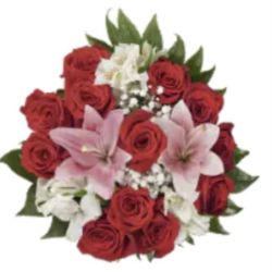 2 Amor De Rosas Rojas