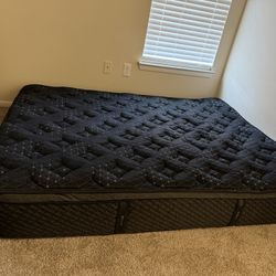 New Helix Bed