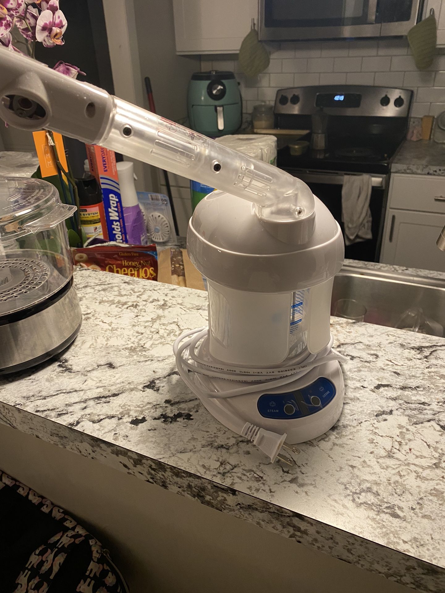 Facial Steamer 