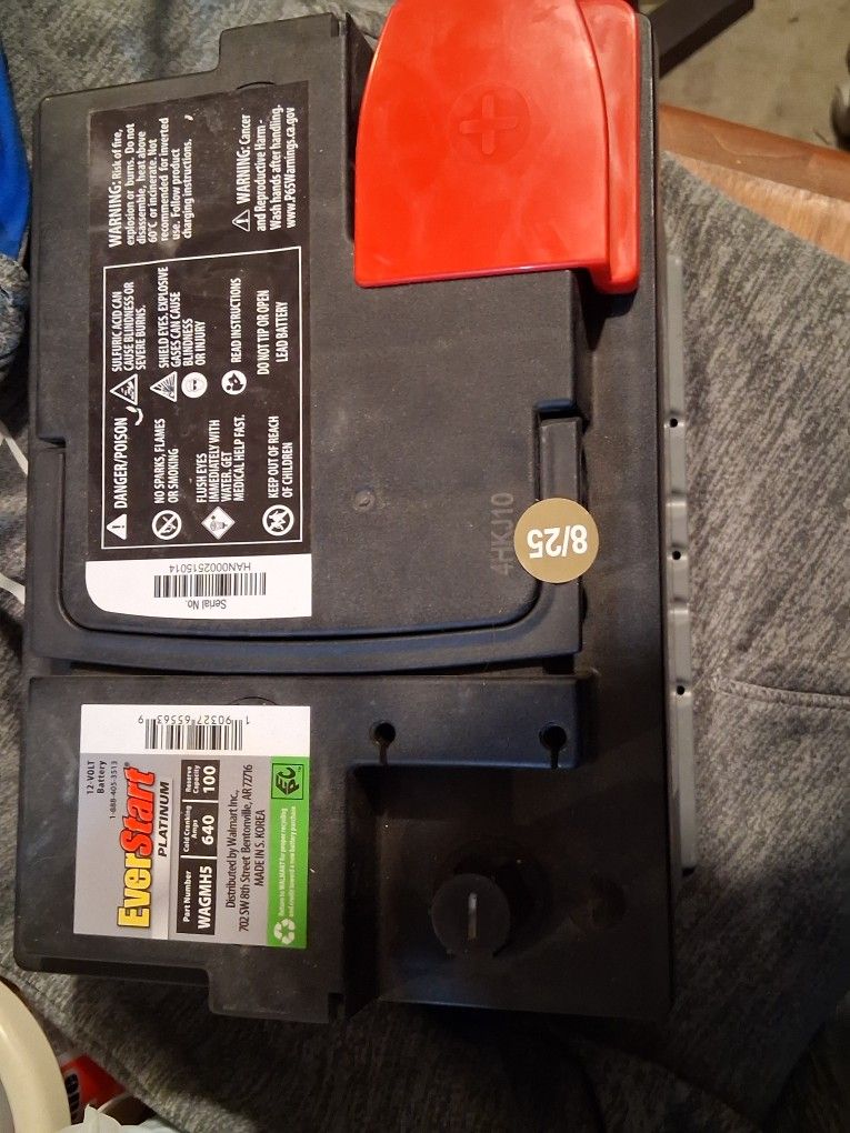 Everstart Platinum Car Battery