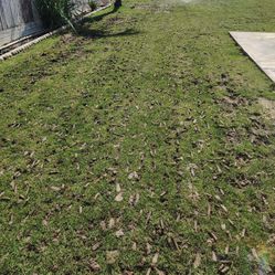 Aerate