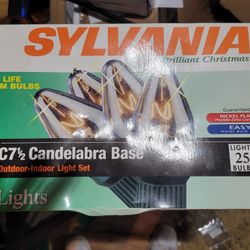 Outdoor indoor light set 25 lights never open. 5 boxes 10.00 a box