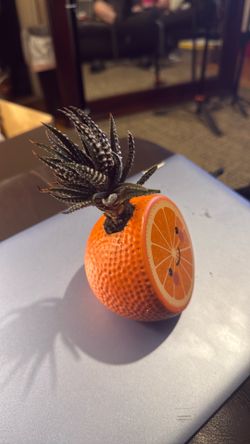 Succulent plant growing inside a cute, orange-shaped ceramic planter