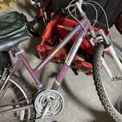 Road Master Women Mountain Bike 