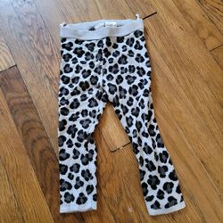 H&M Pants
