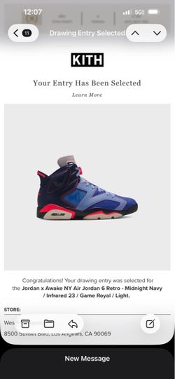 Awake Jordan 6 (Blueberry)(Read Description)