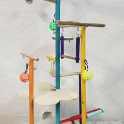 Parakeet Play Gym #14