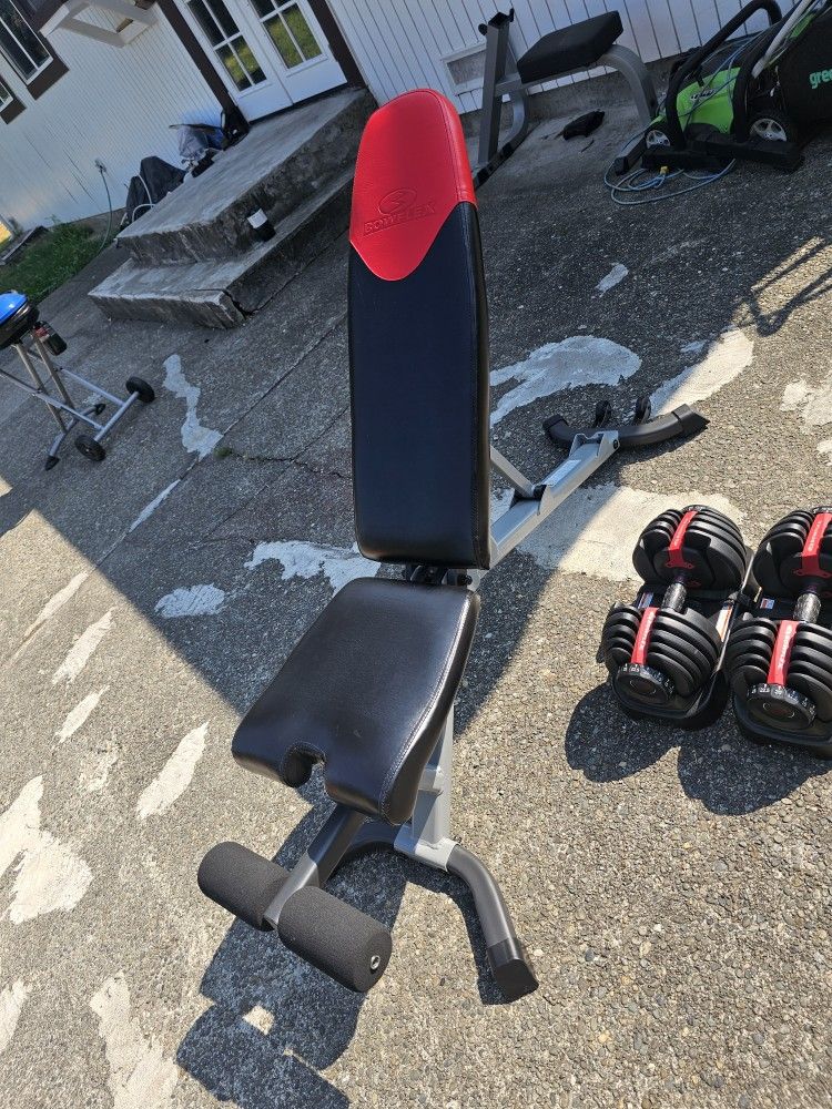 Bowflex Dumbells 5-52 And Adjustable Bench