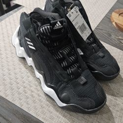 Adidas Shoes 