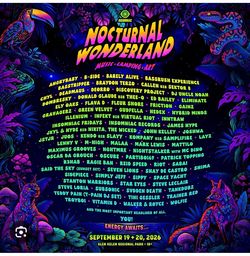 Nocturnal wonderland