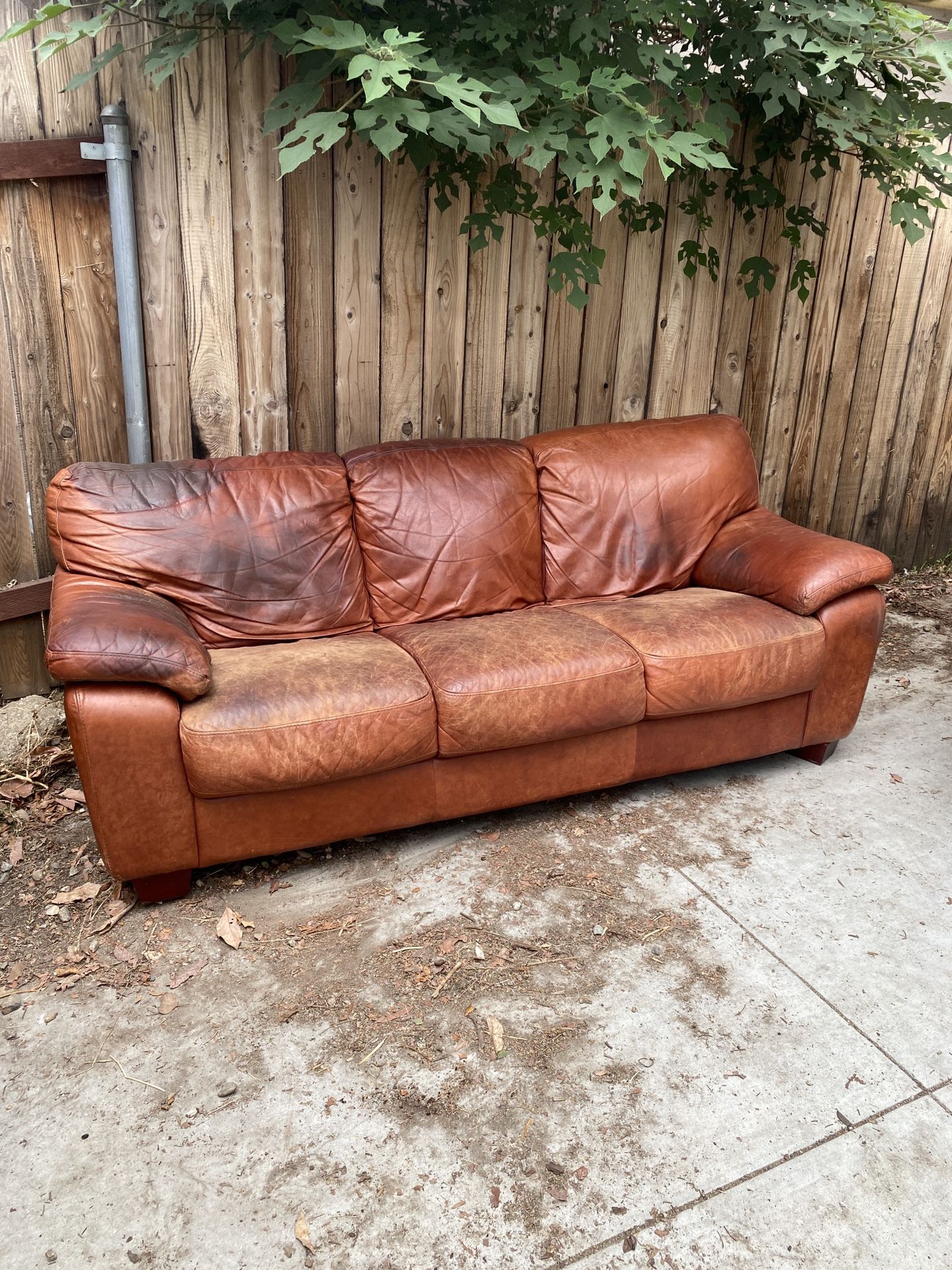 Free leather Couch