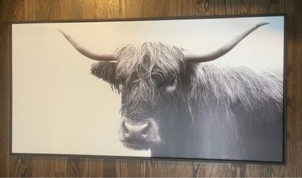 Highland Cow Print 47" x 24" Highland Cow Framed Canvas