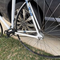 Fixed Gear Bike