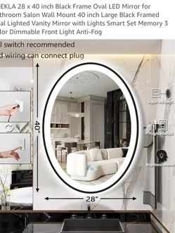 Ekla Black Frame Oval LED Mirror